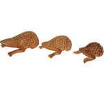 Wooden Tortoise